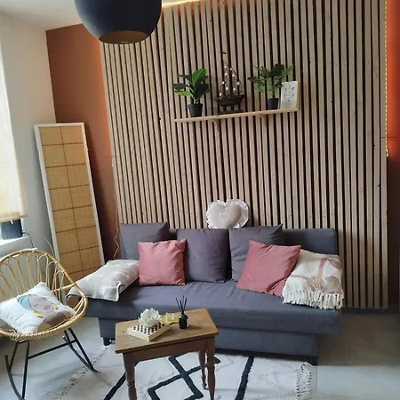 House In Jupille-sur-meuse With Terrace And Barbecue لييج